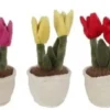 Pehmotulppaani 25cm