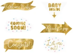 Photo props babyshower