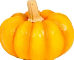Pieni kurpitsa koriste
