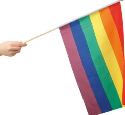 Pride sateenkaarilippu 30x40cm
