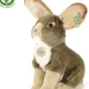 Rappa jänis 30cm
