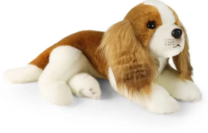 Rappa kingcharlesin spanieli 40cm