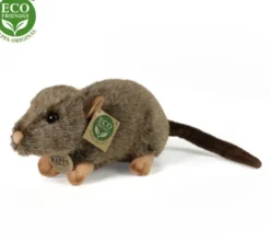 Rappa rotta 20cm