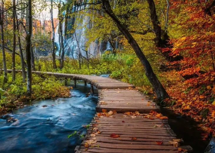Ravensburger autumnal wood trail 1000p