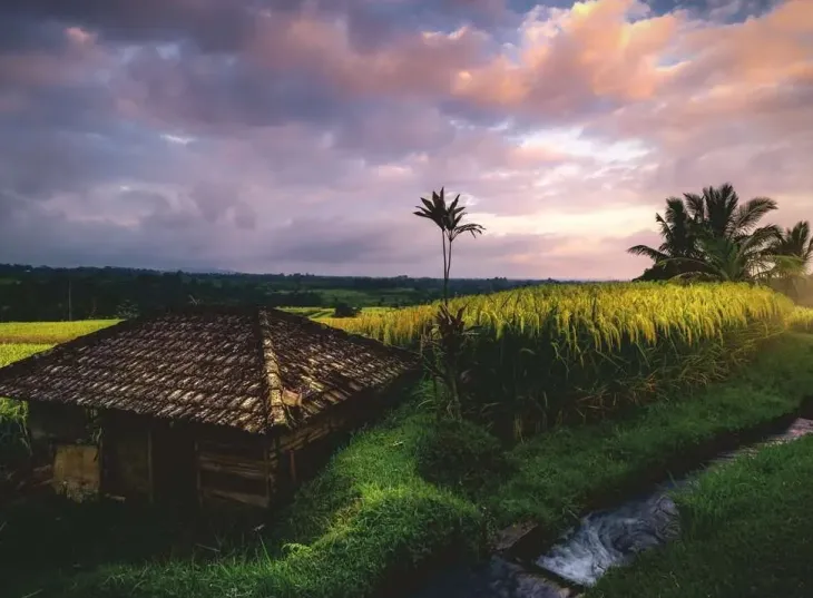 Ravensburger bali 500 palaa