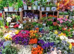 Ravensburger colorful markets 500p