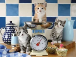 Ravensburger cute cats 1500p