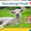 Ravensburger lammas ja possu 2x12 p