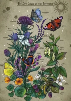 Ravensburger lifecircle butterfly 1000p
