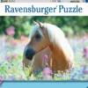 Ravensburger poni kukkaniityllä 300 p