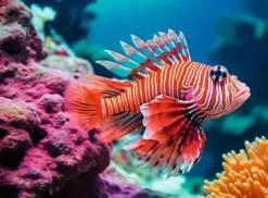 Ravensburger red lionfish 500p