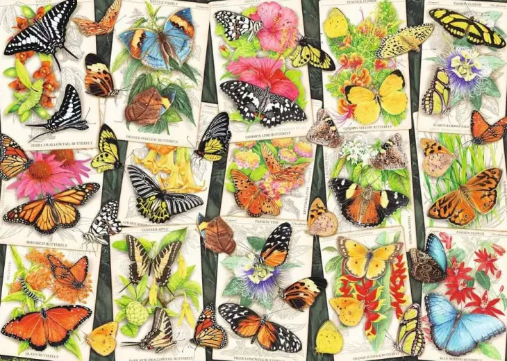 Ravensburger tropical butterflies 1000p