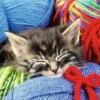 Ravensburger wool cat 100p