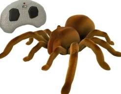 Real wild ir giant tarantula spider