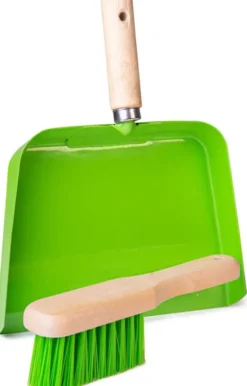 Rikkalapio ja harja