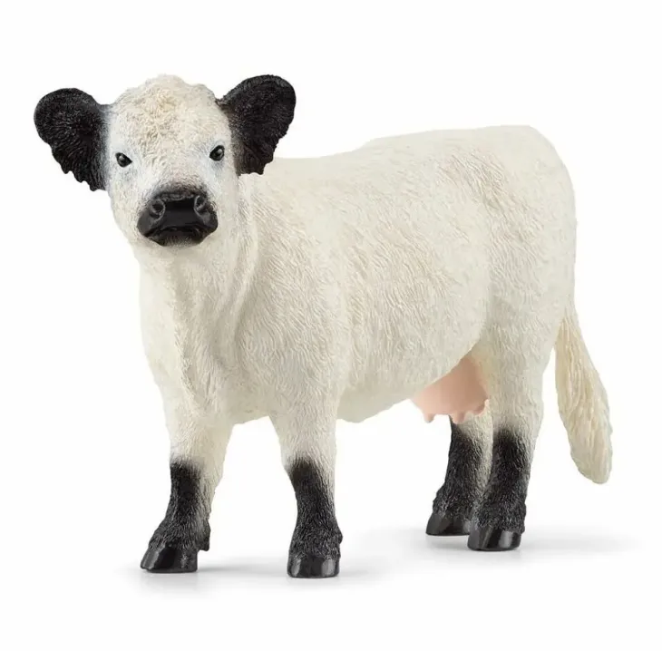 Schleich 13960 galloway lehmä