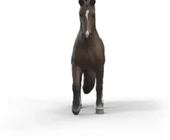 Schleich hollanin puoliverinen ruuna