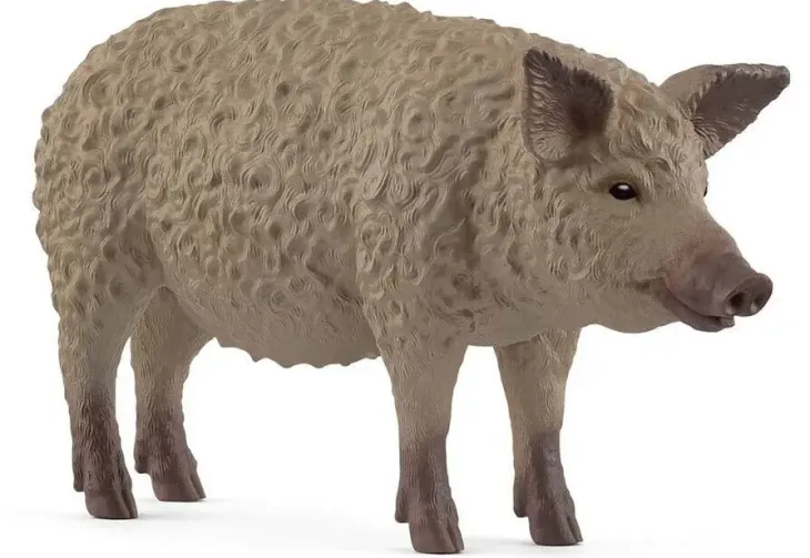 Schleich 14892 mangalitza