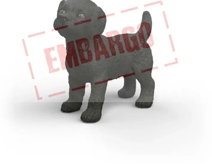 Schleich mustan labradorinnoutajan pentu