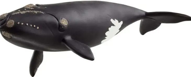 Schleich 14878 pohjanmustavalas