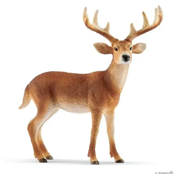 Schleich 14818 valkohäntäpeura