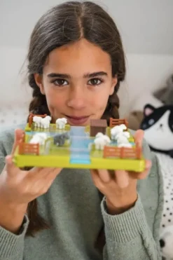 Smart games counting sheep