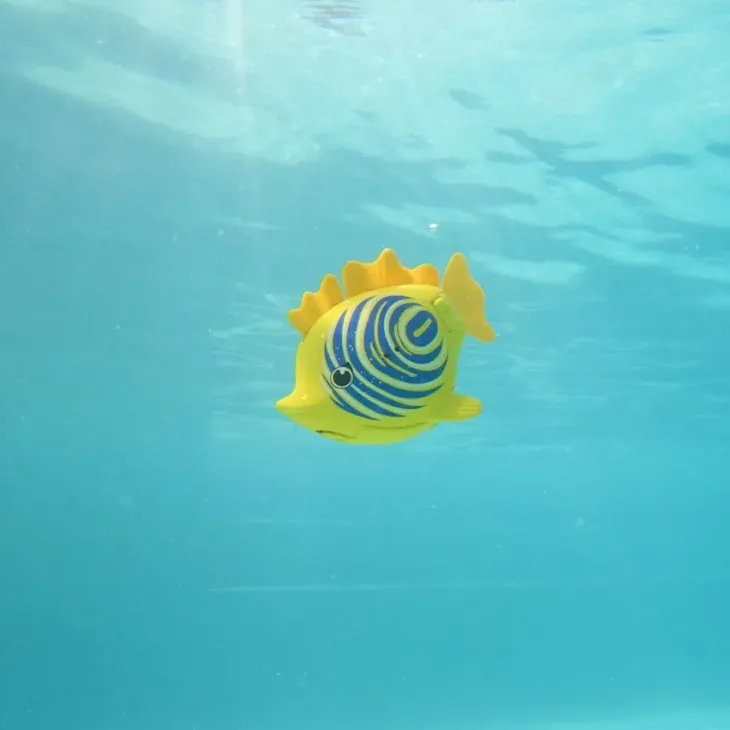 Swimways rainbow reef zebra fish