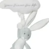 Teddykompaniet cloud bunny soittorasia