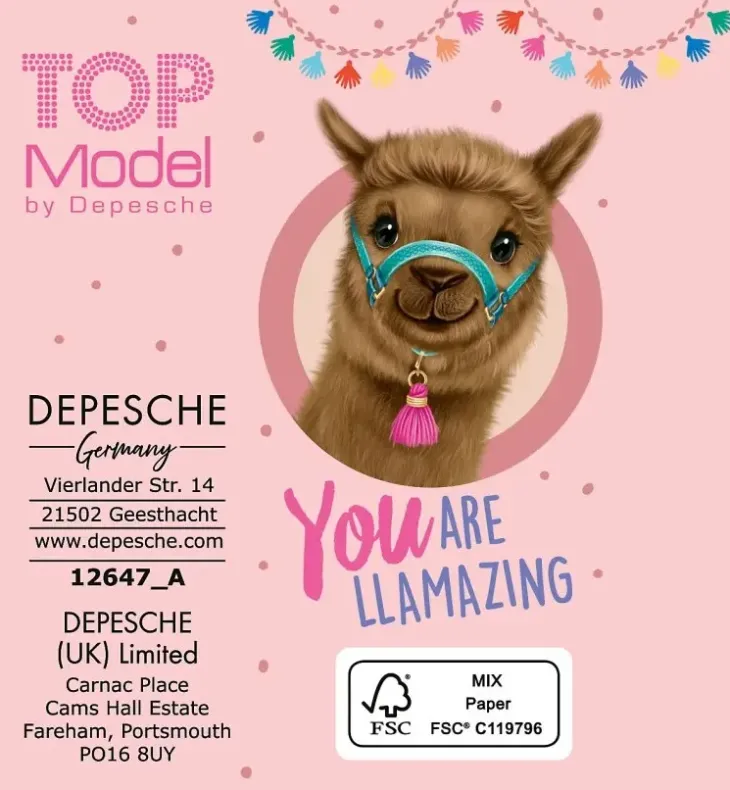 Top model minimuistivihko ja kynä