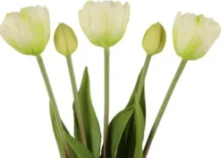Tulppaanikimppu valkoinen 39 cm
