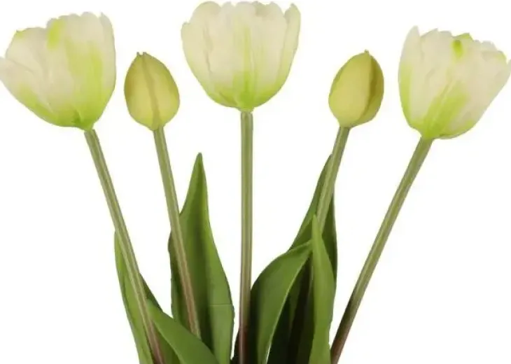Tulppaanikimppu valkoinen 39 cm