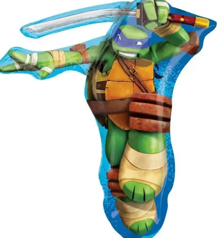 Turtles leonardo muotofolio