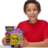 Turtles mutant mayhem raphael