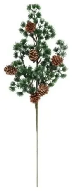 Winteria havunoksa kävyillä 50cm