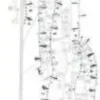 Winteria koristeoksa timanteilla 60cm