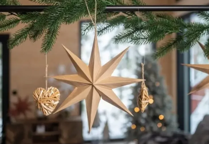 Winteria koristeteline pöydälle