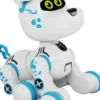 Xtrem bots bobby