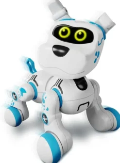 Xtrem bots bobby