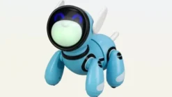 Ycoo jiggo